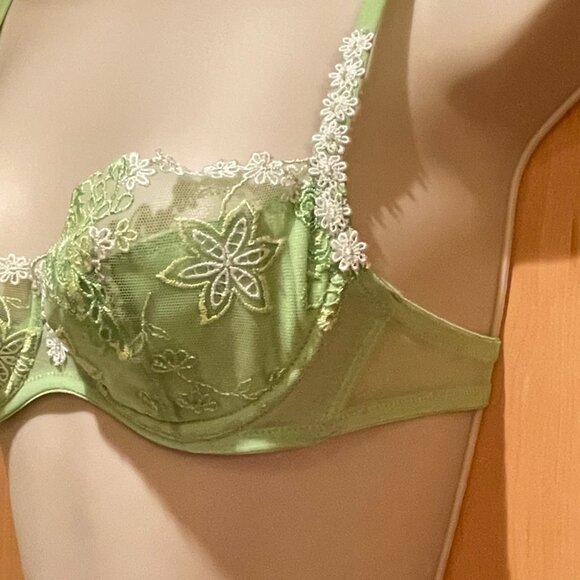 Cotton Club Lime Daisy - Picture 4 of 5